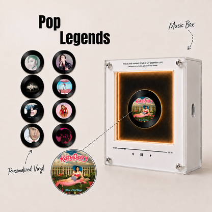 The Magnetic Vinyl Music Box